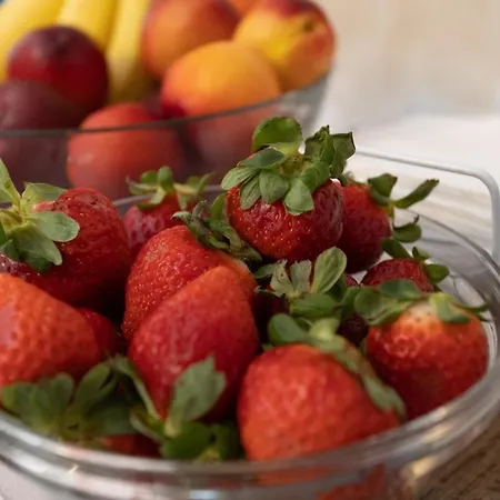 Alojamento de Acomodação e Pequeno-almoço Horizon